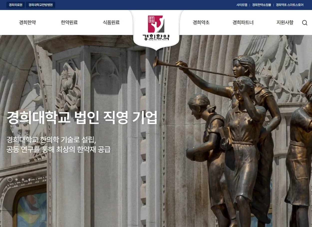 한약재 건기식 기업 홈페이지 유지보수 및 성능 진단 — 수정, 유지보수, SEO 미리보기
